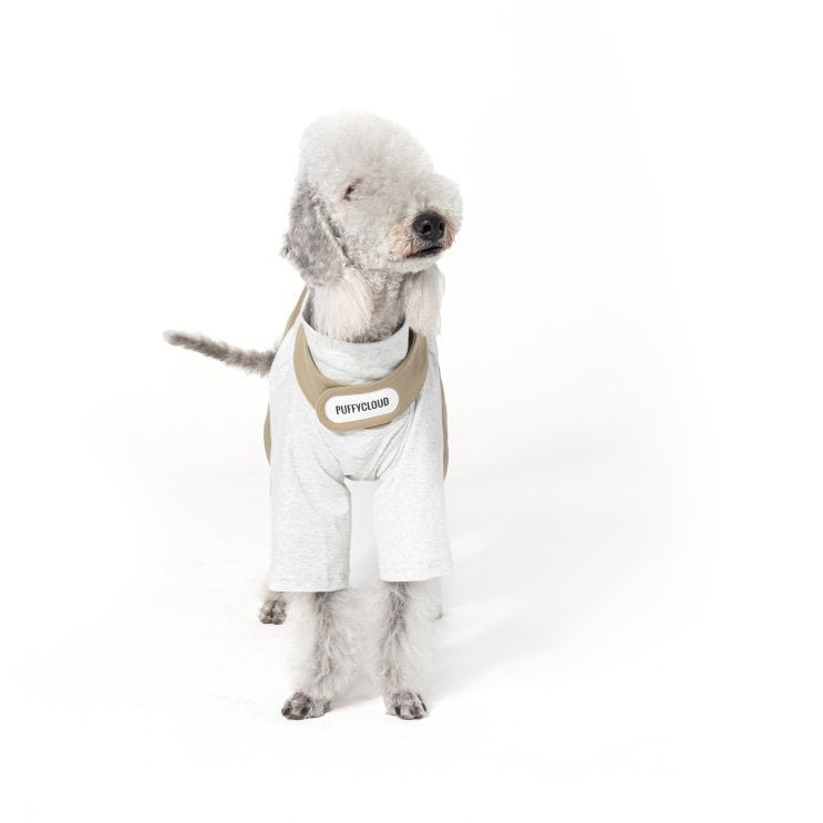 Breathable Cotton Two - Leg Dog Outfit for Bedlington Terriers - PIKAPIKA