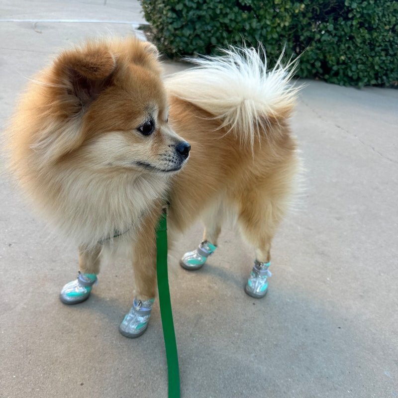 Breathable Dog Shoes Boots Anti - slip Reflective Outdoor Gear For Small Dog - PIKAPIKA