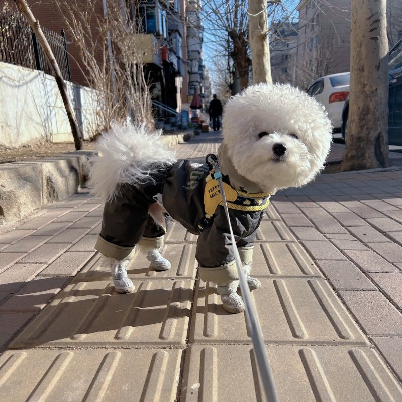 Breathable Dog Shoes Boots Anti - slip Reflective Outdoor Gear For Small Dog - PIKAPIKA