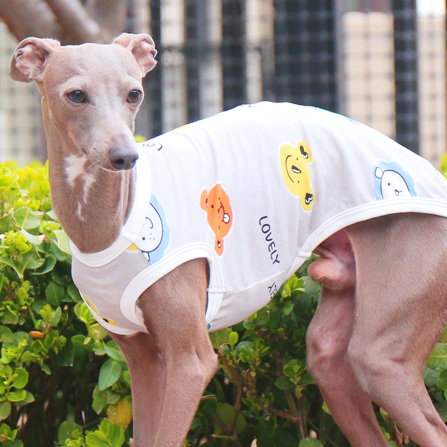 Breathable Floral Stretch Vest for Italian Greyhound - PIKAPIKA