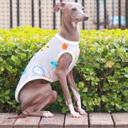 Breathable Floral Stretch Vest for Italian Greyhound - PIKAPIKA