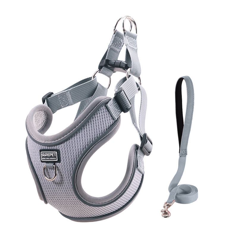 Breathable No - Pull Summer Dog Harness Leash for Small Medium Dogs - PIKAPIKA