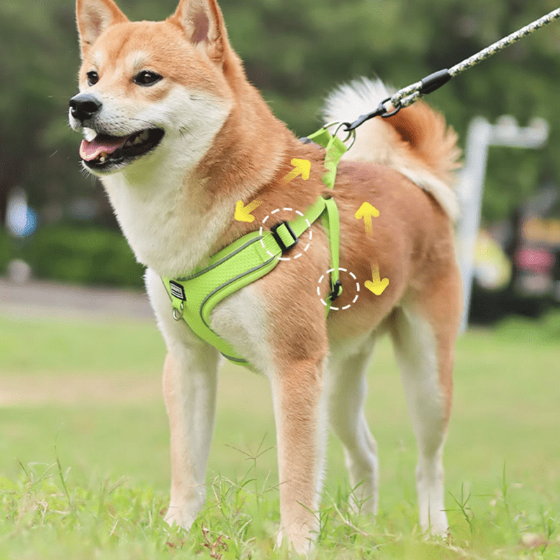 Breathable No - Pull Summer Dog Harness Leash for Small Medium Dogs - PIKAPIKA