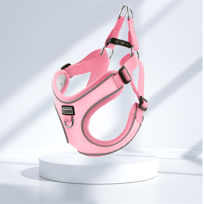 Breathable No - Pull Summer Dog Harness Leash for Small Medium Dogs - PIKAPIKA