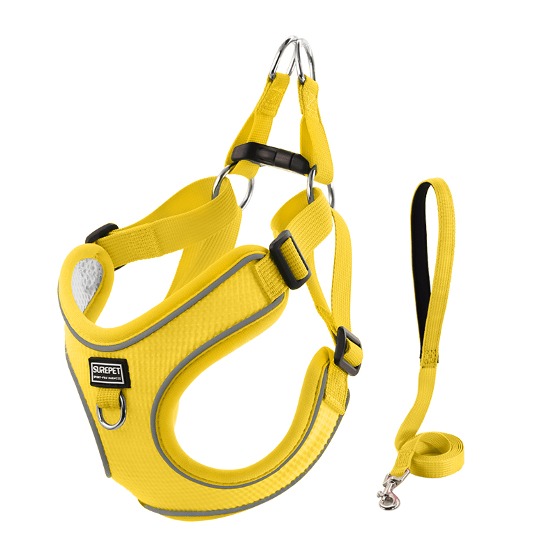 Breathable No - Pull Summer Dog Harness Leash for Small Medium Dogs - PIKAPIKA