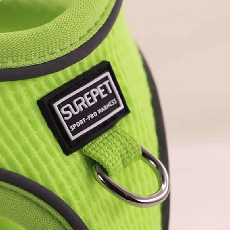 Breathable No - Pull Summer Dog Harness Leash for Small Medium Dogs - PIKAPIKA