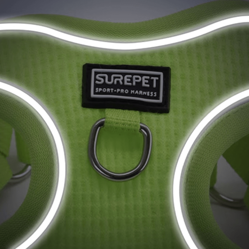 Breathable No - Pull Summer Dog Harness Leash for Small Medium Dogs - PIKAPIKA