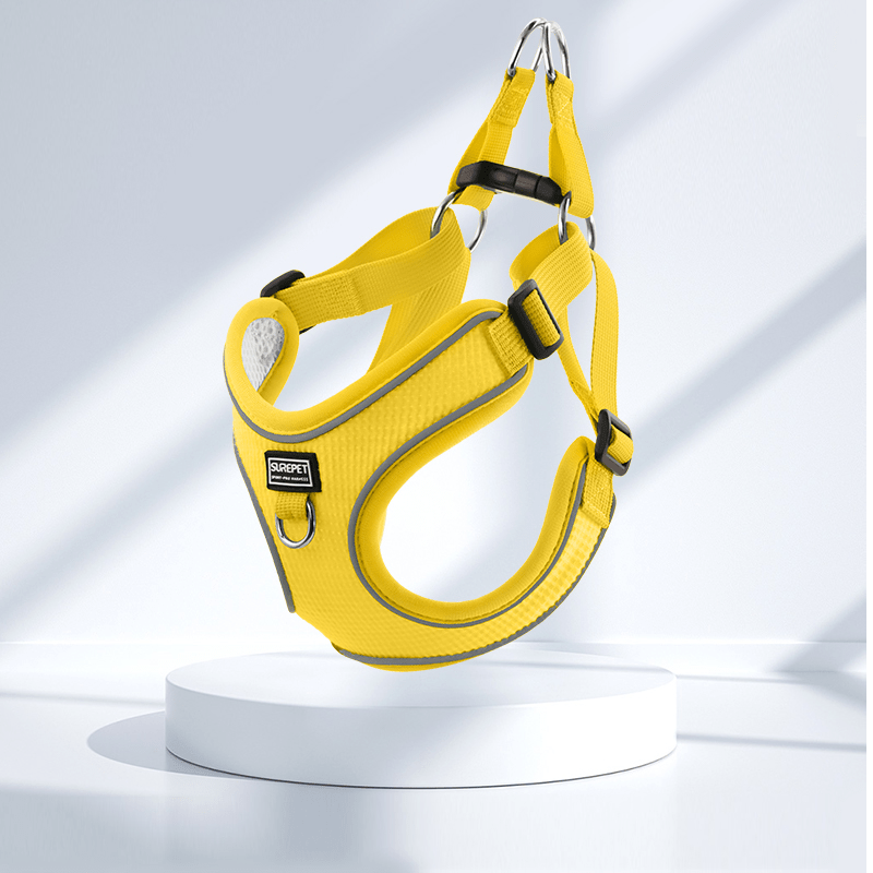 Breathable No - Pull Summer Dog Harness Leash for Small Medium Dogs - PIKAPIKA