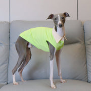 Breathable Polo Shirt Summer Vest for Greyhounds Whippets - PIKAPIKA