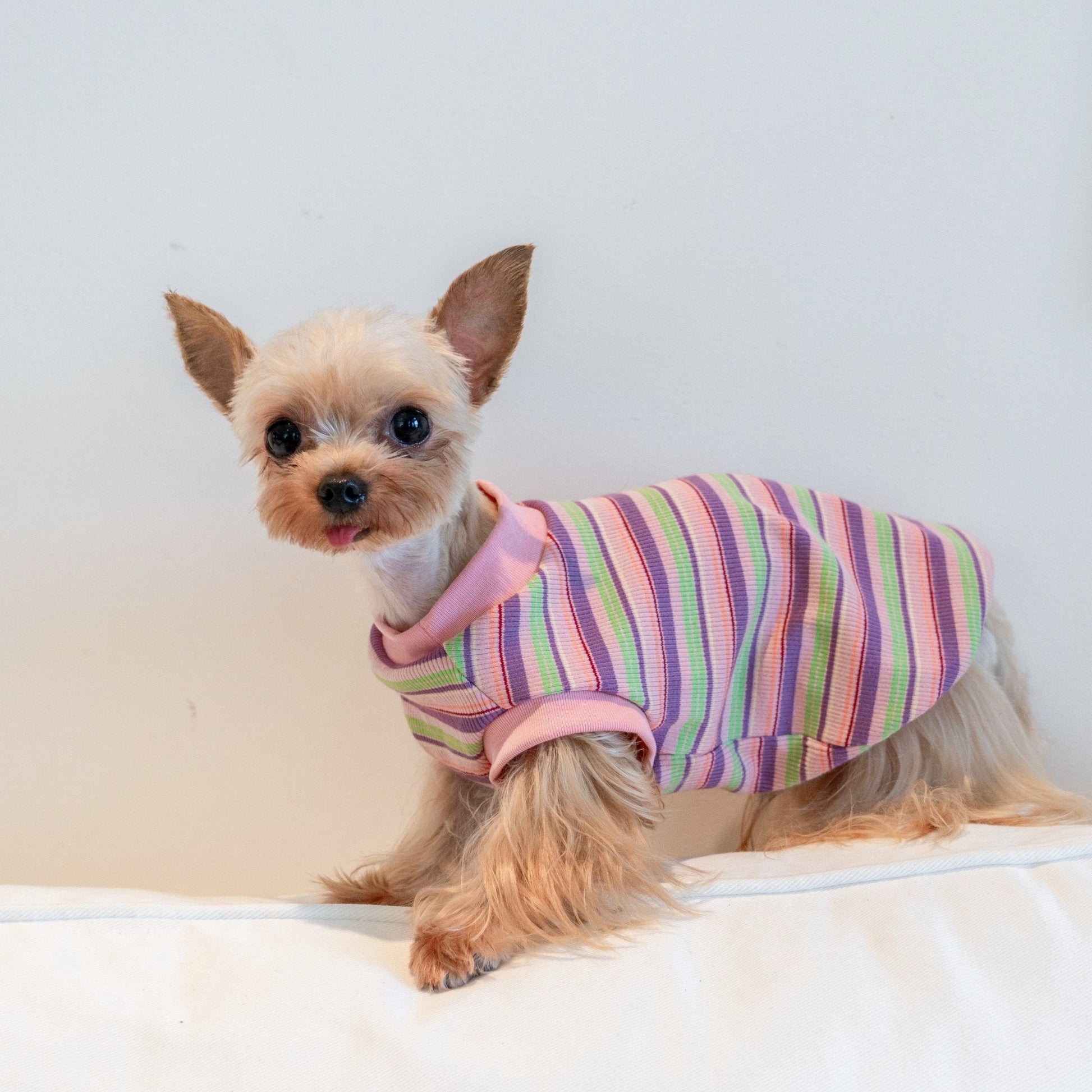 Breathable Striped Cooling Shirt for Toy Dogs - PIKAPIKA