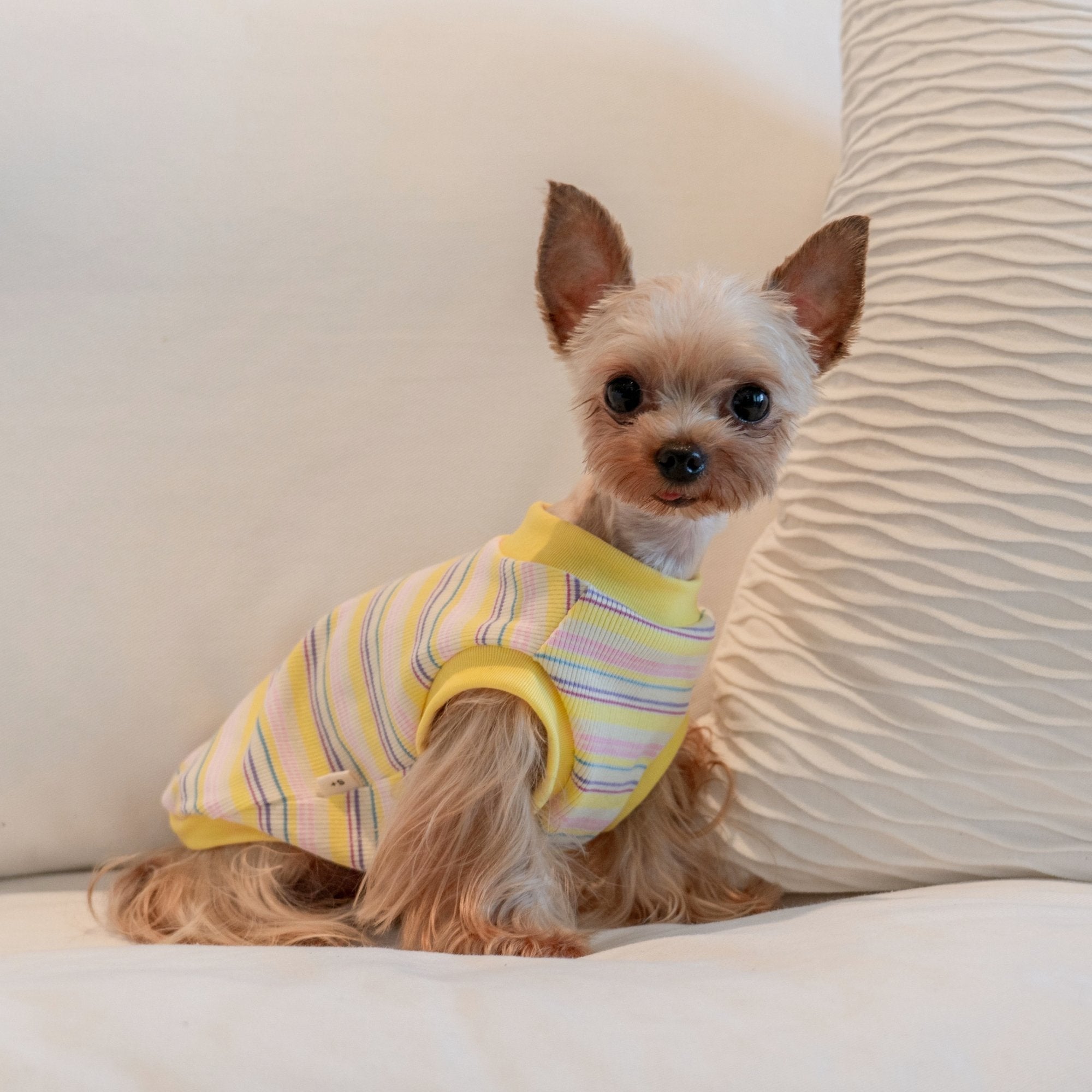 Breathable Striped Cooling Shirt for Toy Dogs - PIKAPIKA