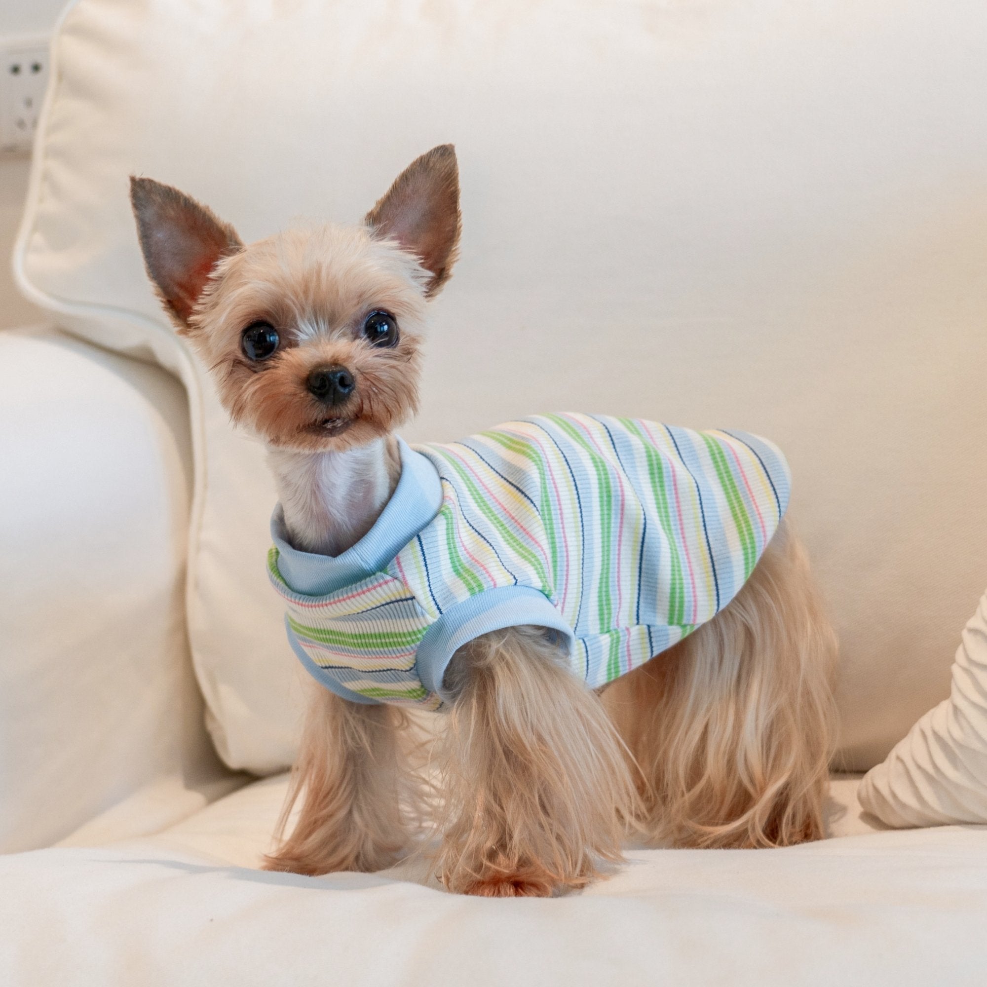 Breathable Striped Cooling Shirt for Toy Dogs - PIKAPIKA