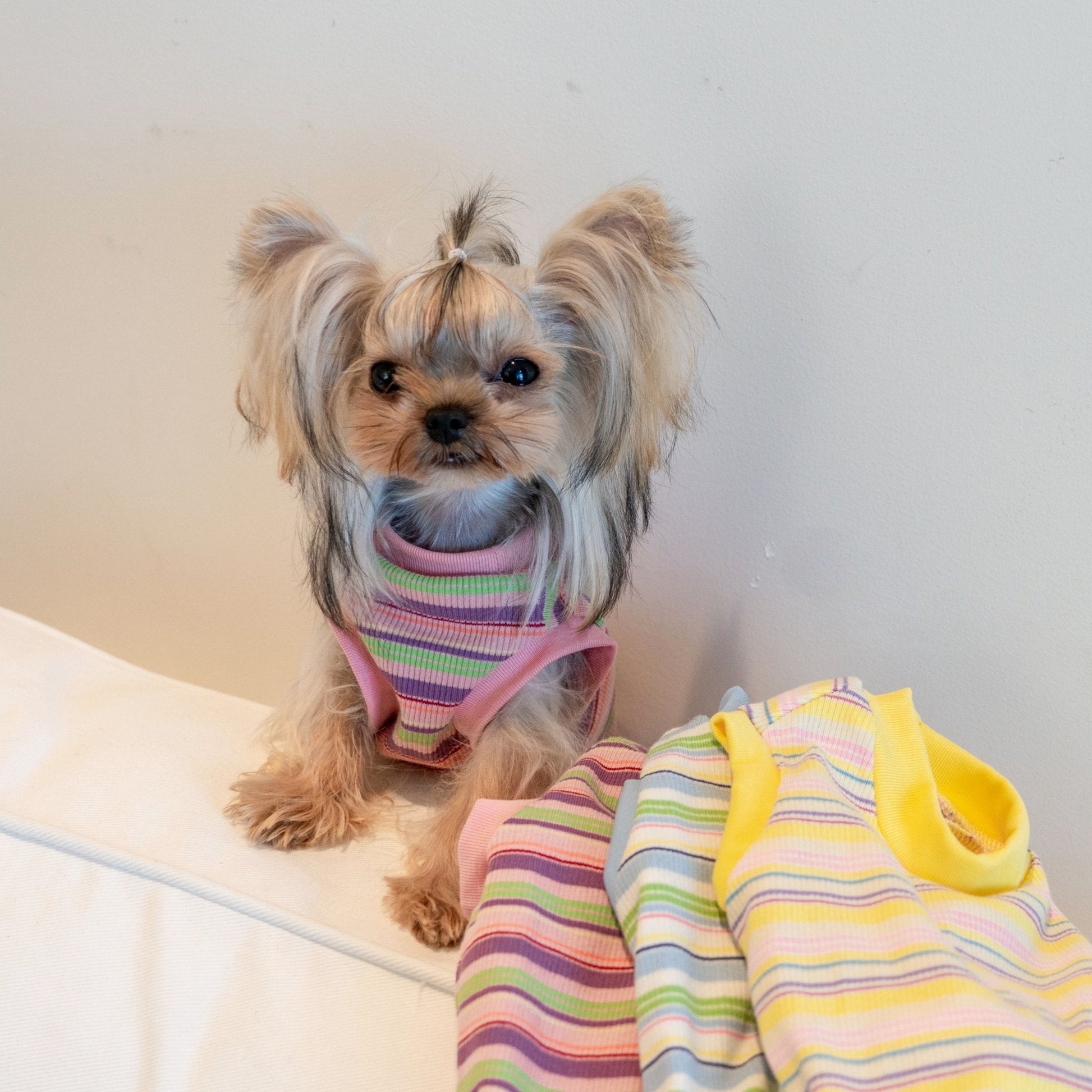 Breathable Striped Cooling Shirt for Toy Dogs - PIKAPIKA
