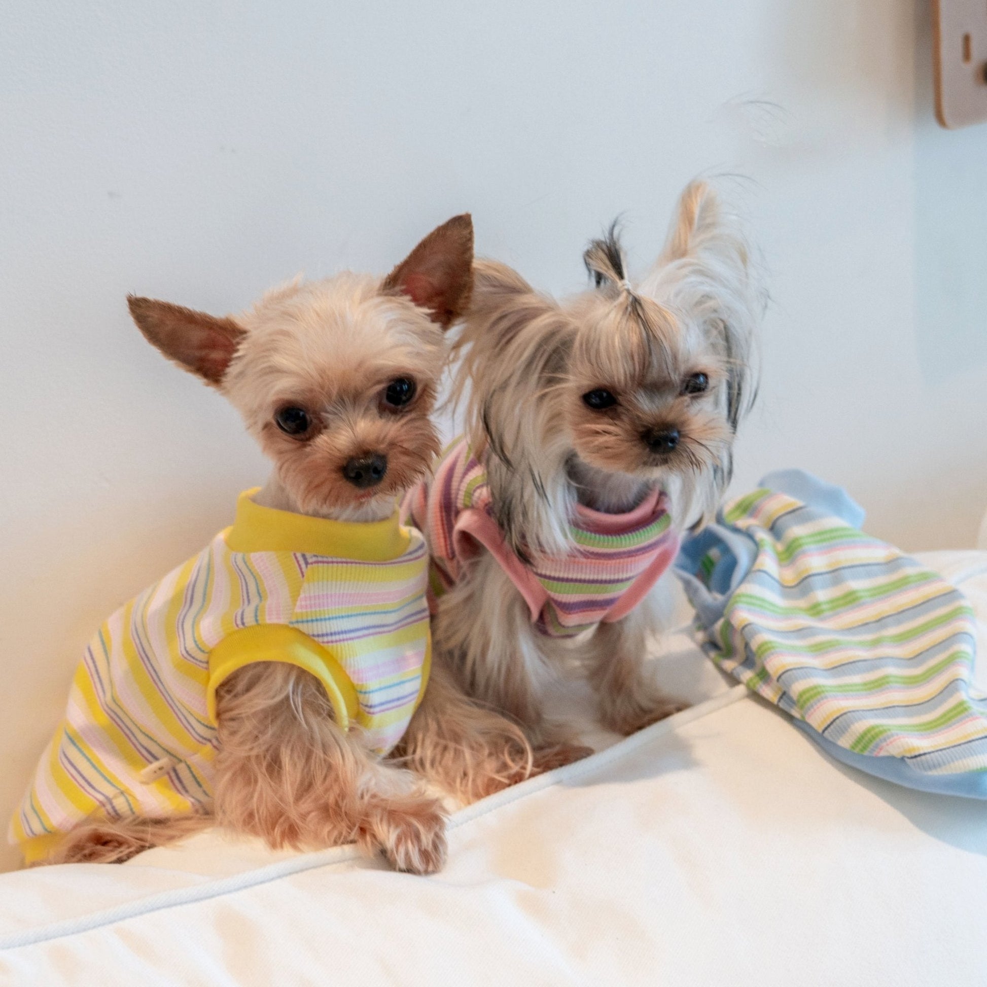 Breathable Striped Cooling Shirt for Toy Dogs - PIKAPIKA