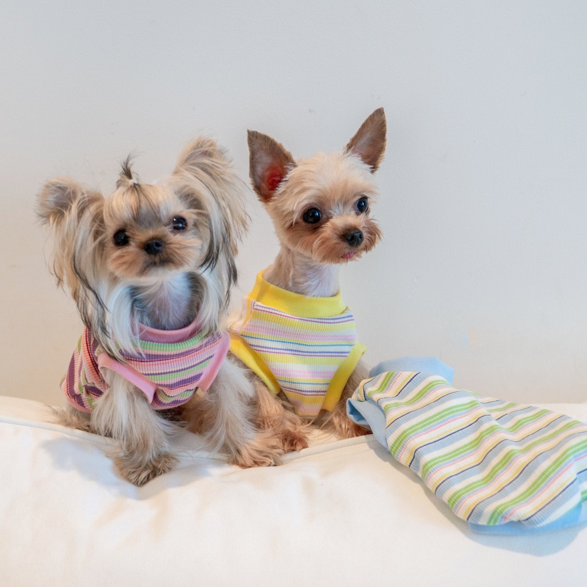 Breathable Striped Cooling Shirt for Toy Dogs - PIKAPIKA