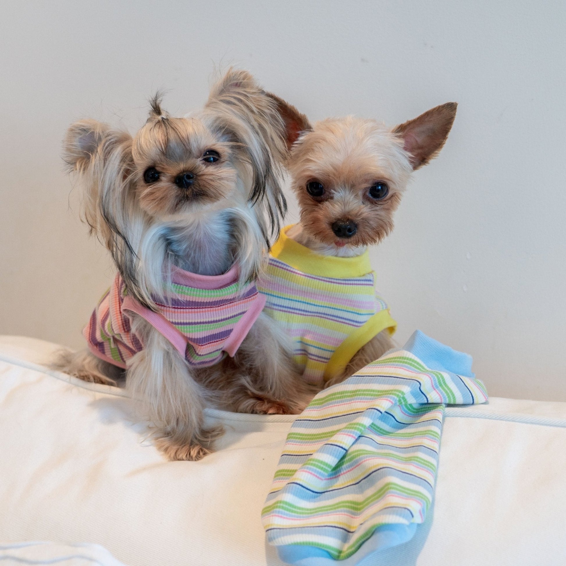 Breathable Striped Cooling Shirt for Toy Dogs - PIKAPIKA