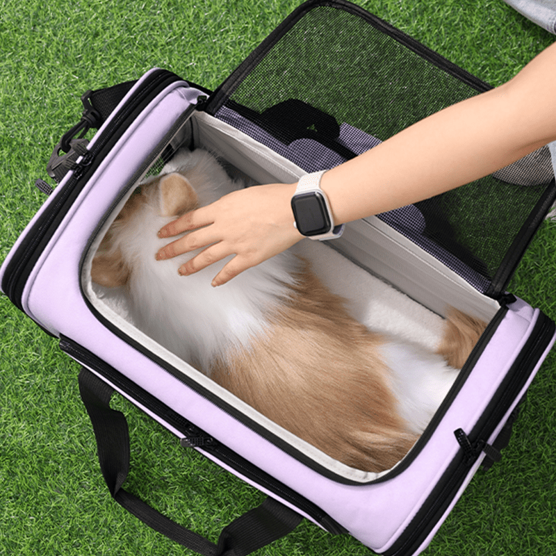 Breathable Travel Bag Large Portable Pet Carrier Backpack - PIKAPIKA