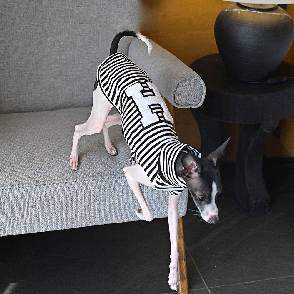 Breathable Vest Summer Thin Sleeveless for Sighthounds - PIKAPIKA