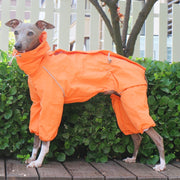 Breathable Waterproof Jacket Highneck Zip Raincoat for Sighthound - PIKAPIKA