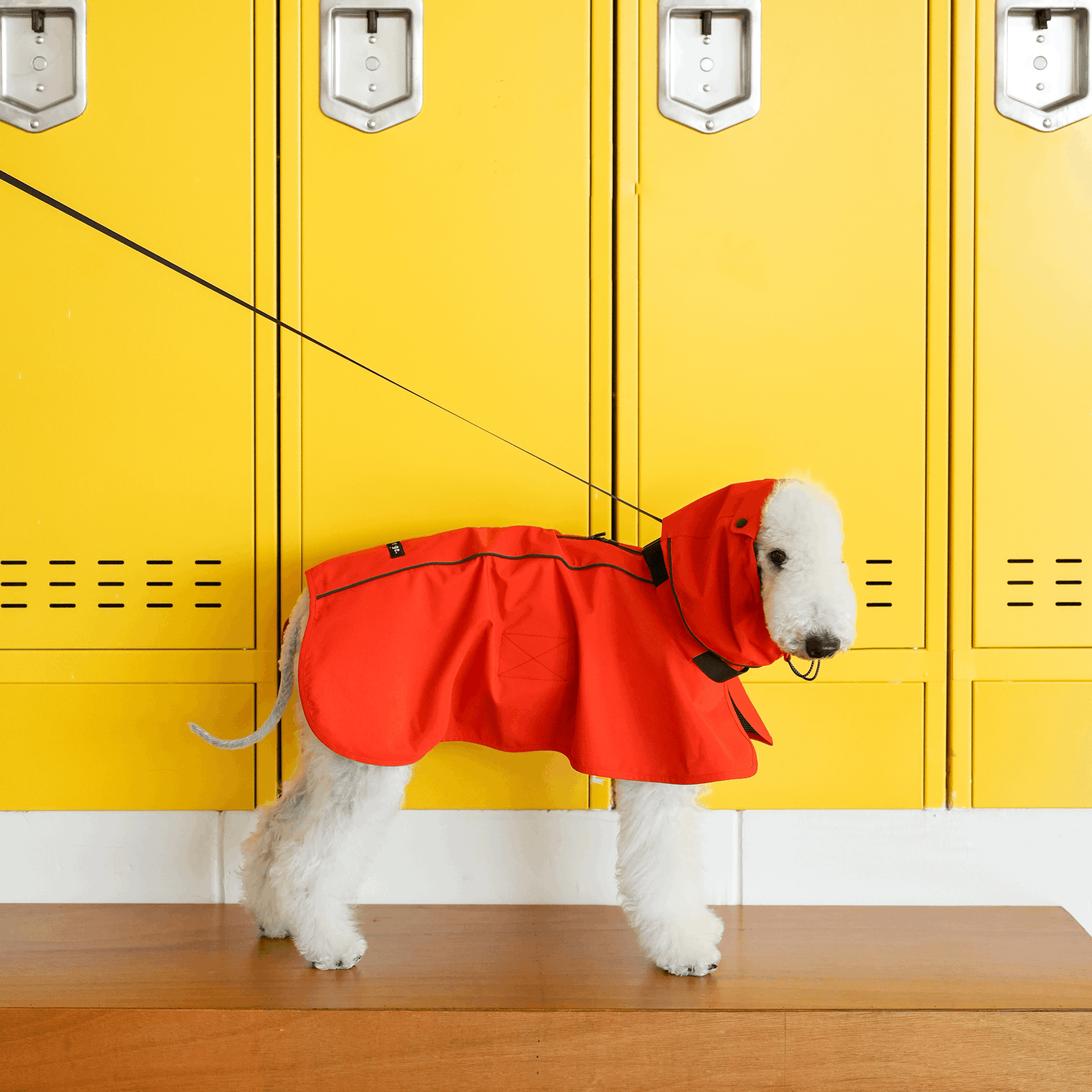 Breezy Raincape for Dogs Lightweight and Water Resistant - PIKAPIKA