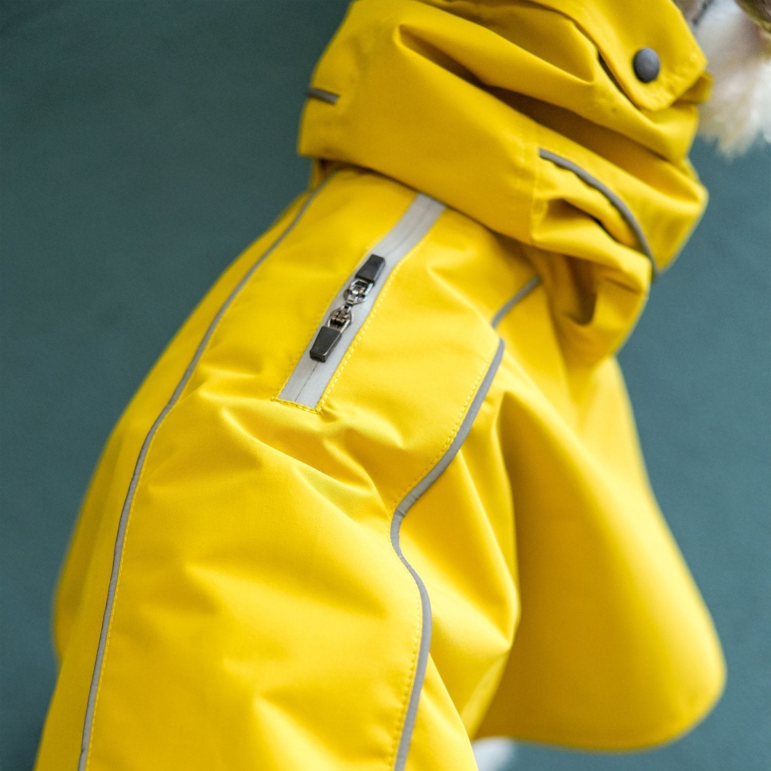 Breezy Raincape for Dogs Lightweight and Water Resistant - PIKAPIKA