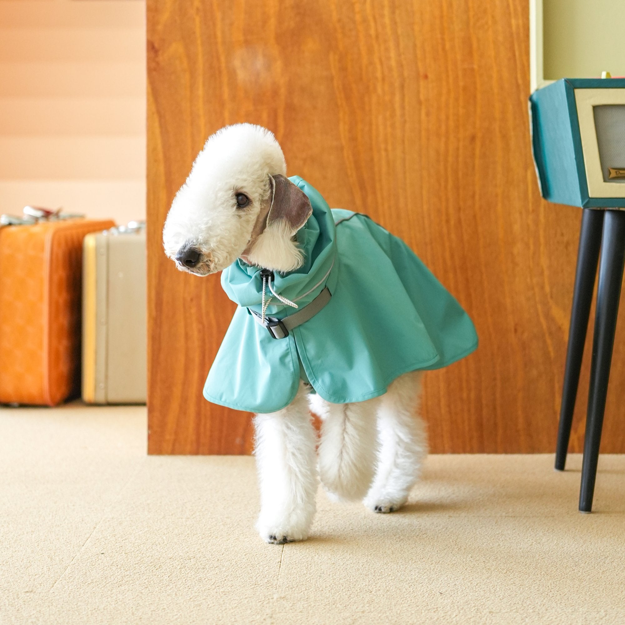 Breezy Raincape for Dogs Lightweight and Water Resistant - PIKAPIKA