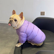 Bulldog Dog Clothes Winter Padded Jacket Pug Coat - PIKAPIKA