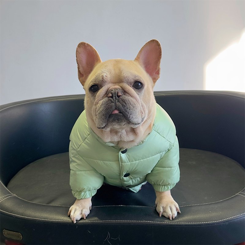 Bulldog Dog Clothes Winter Padded Jacket Pug Coat - PIKAPIKA