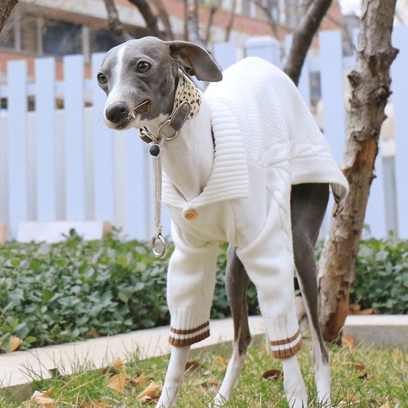 Button Knit Long Sleeve Dog Sweater for Italian Greyhound Whippet Clothes - PIKAPIKA
