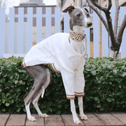 Button Knit Long Sleeve Dog Sweater for Italian Greyhound Whippet Clothes - PIKAPIKA