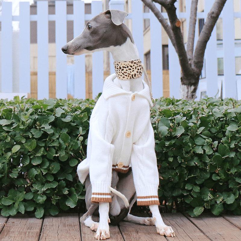 Button Knit Long Sleeve Dog Sweater for Italian Greyhound Whippet Clothes - PIKAPIKA