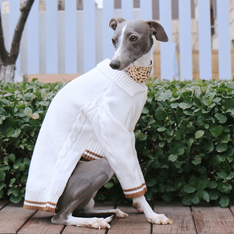 Button Knit Long Sleeve Dog Sweater for Italian Greyhound Whippet Clothes - PIKAPIKA