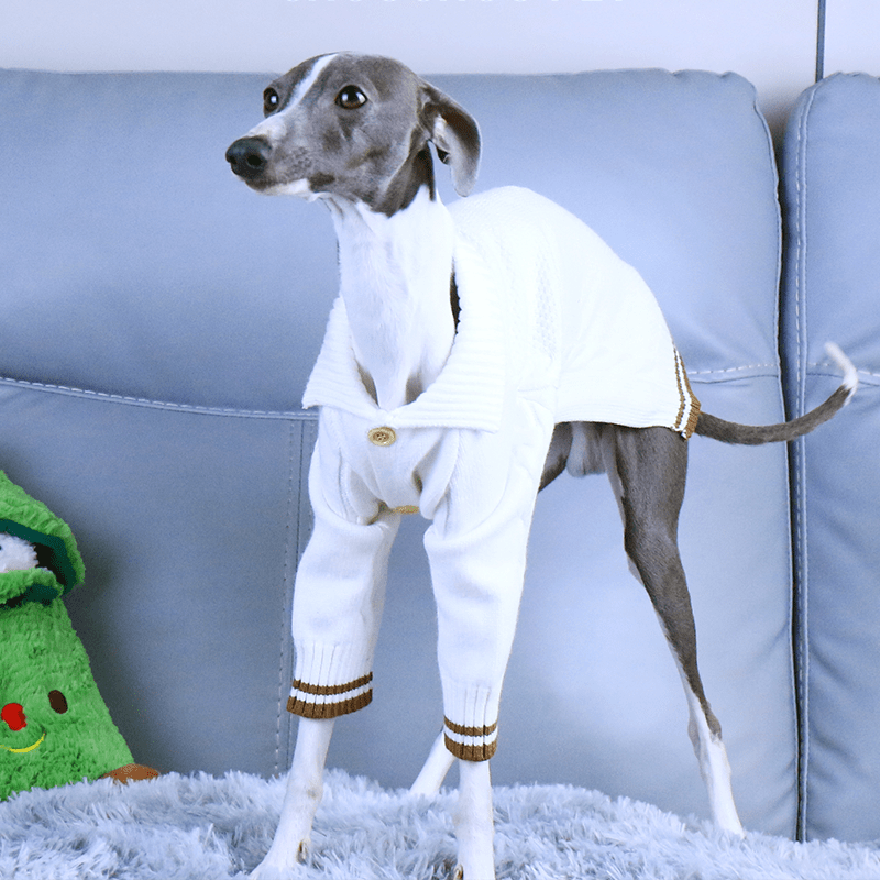 Button Knit Long Sleeve Dog Sweater for Italian Greyhound Whippet Clothes - PIKAPIKA