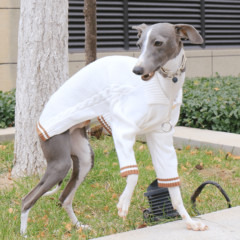 Button Knit Long Sleeve Dog Sweater for Italian Greyhound Whippet Clothes - PIKAPIKA