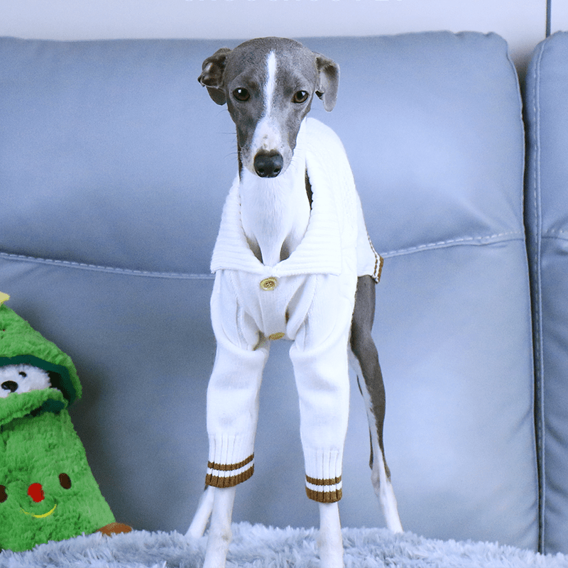 Button Knit Long Sleeve Dog Sweater for Italian Greyhound Whippet Clothes - PIKAPIKA