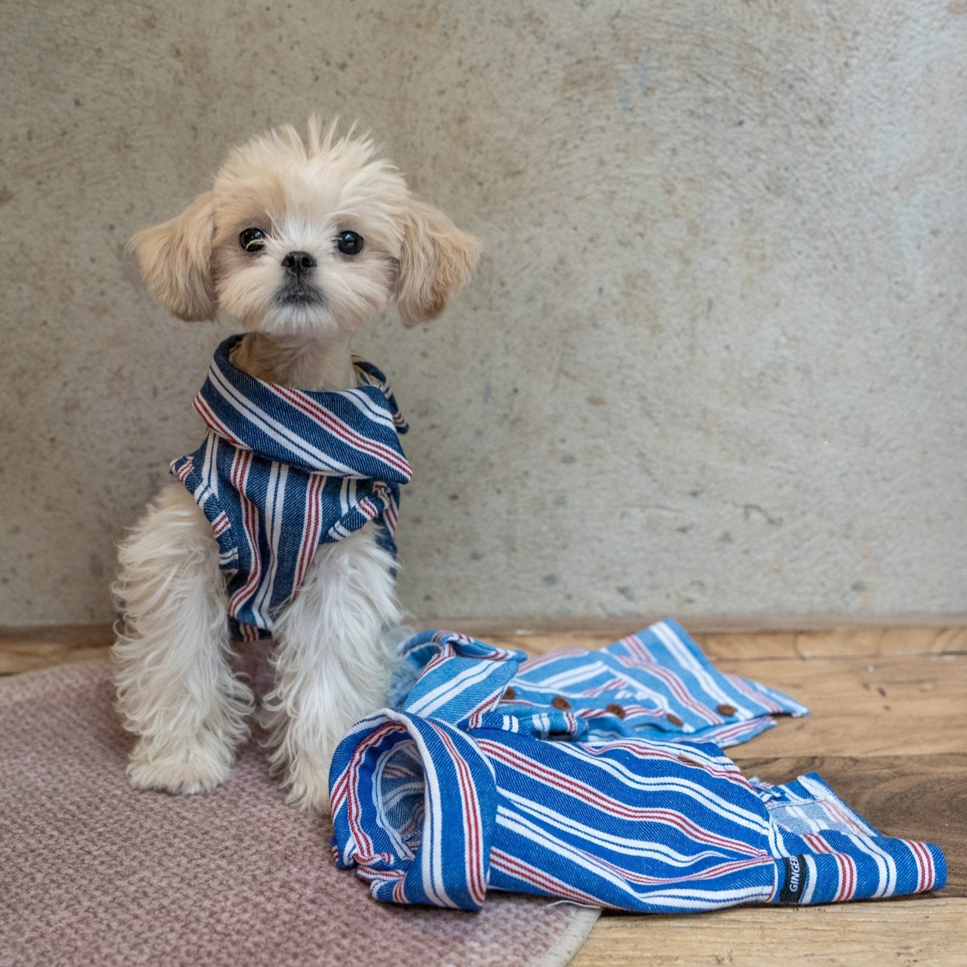Button Up Plaid Shirt with Denim Detail for Toy Dogs - PIKAPIKA