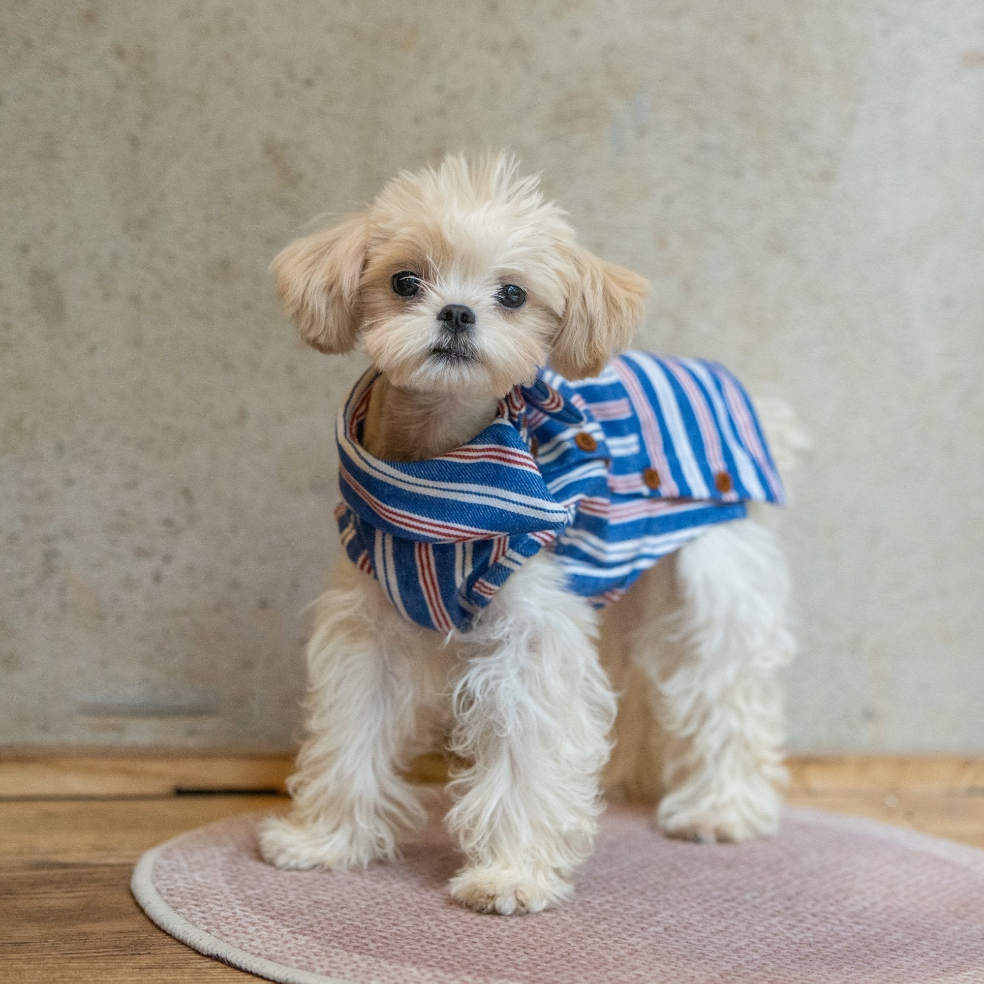 Button Up Plaid Shirt with Denim Detail for Toy Dogs - PIKAPIKA