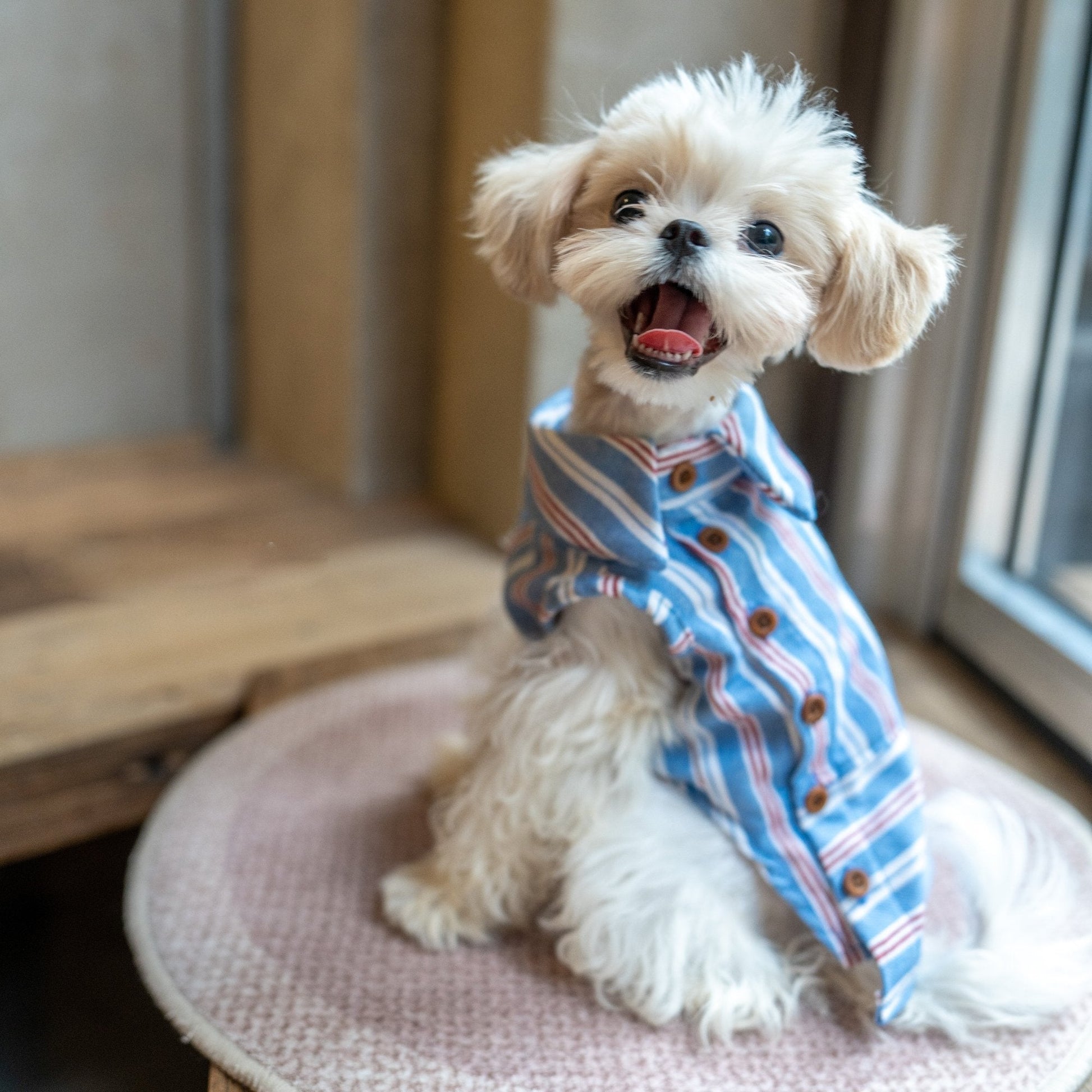 Button Up Plaid Shirt with Denim Detail for Toy Dogs - PIKAPIKA