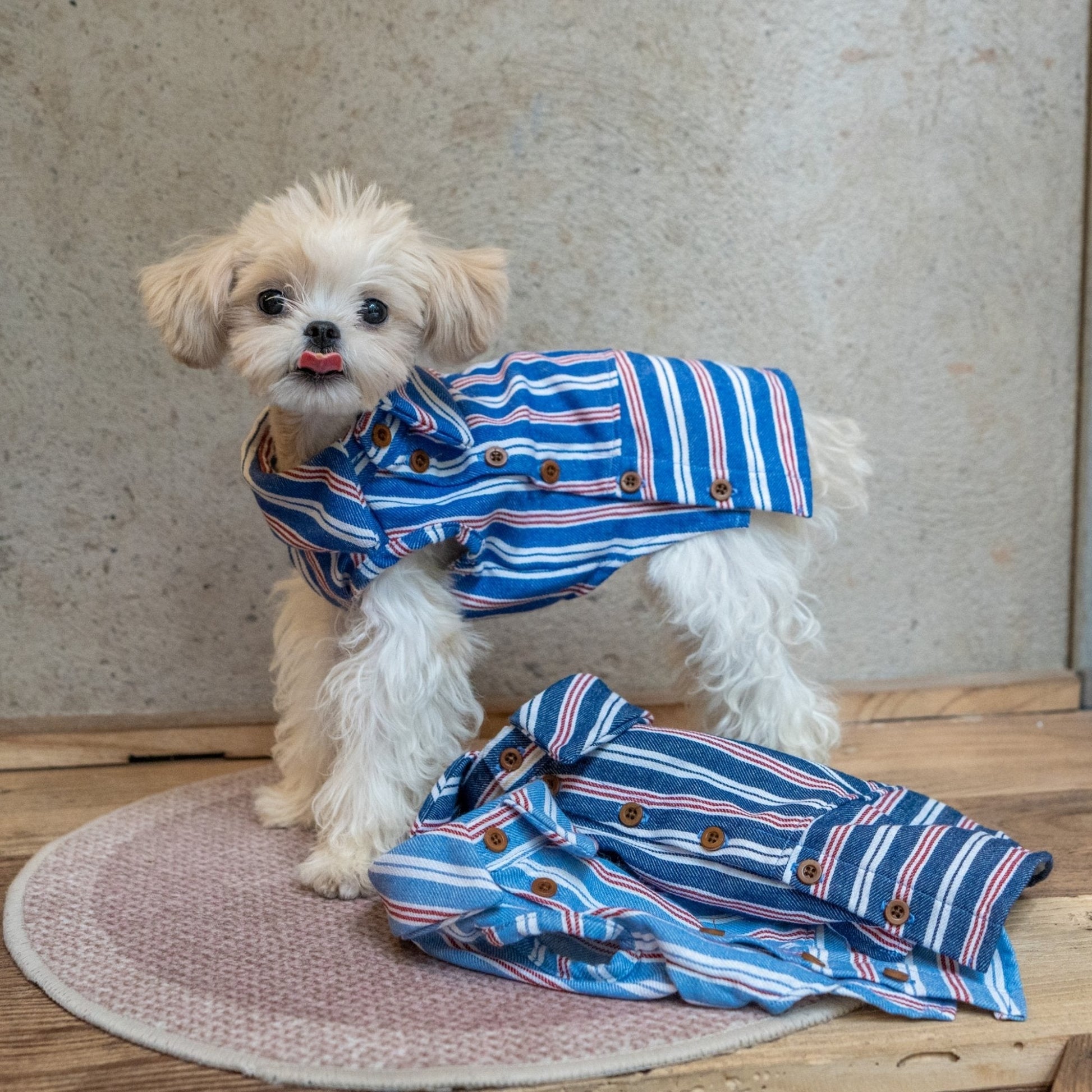Button Up Plaid Shirt with Denim Detail for Toy Dogs - PIKAPIKA