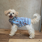 Button Up Plaid Shirt with Denim Detail for Toy Dogs - PIKAPIKA