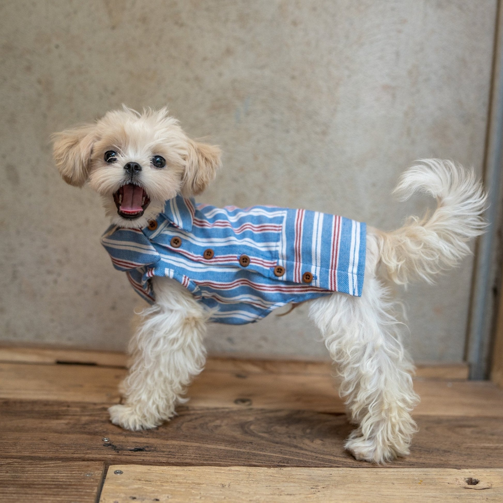 Button Up Plaid Shirt with Denim Detail for Toy Dogs - PIKAPIKA