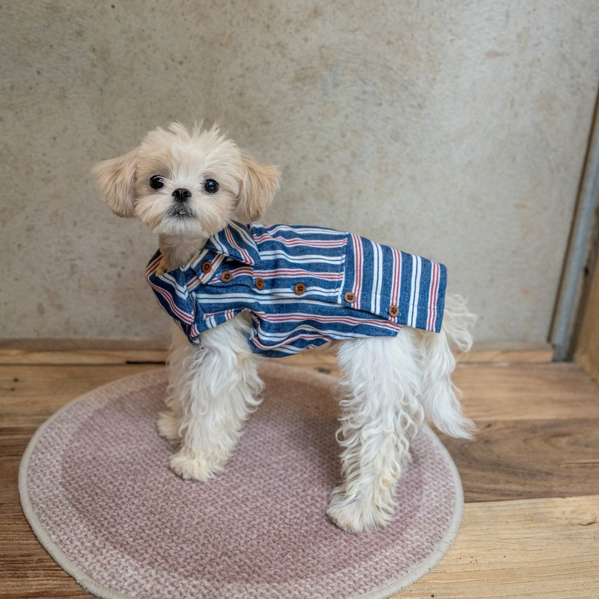 Button Up Plaid Shirt with Denim Detail for Toy Dogs - PIKAPIKA