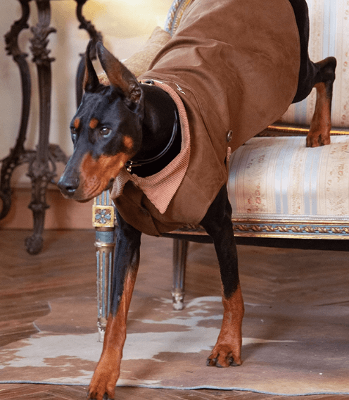 Suede Equestrian Cape - Stylish Dog Riding Cloak