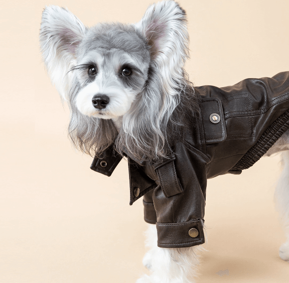 Dog Jacket PU Leather Retro Biker Style Black Size S-XL