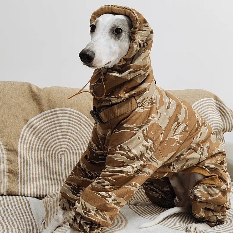 Camouflage Cotton Padded Coat Snowsuits Italian Greyhound Dog Clothes - PIKAPIKA