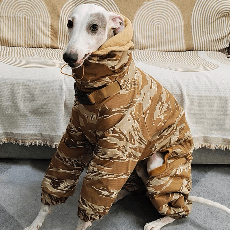 Camouflage Cotton Padded Coat Snowsuits Italian Greyhound Dog Clothes - PIKAPIKA