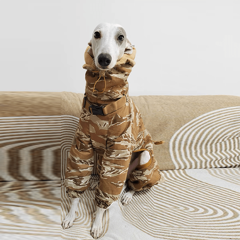 Camouflage Cotton Padded Coat Snowsuits Italian Greyhound Dog Clothes - PIKAPIKA