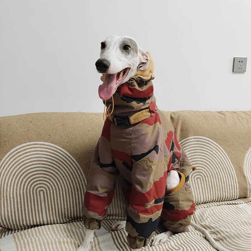 Camouflage Snowsuits Cotton Padded Dog Coat Italian Greyhound Clothes - PIKAPIKA