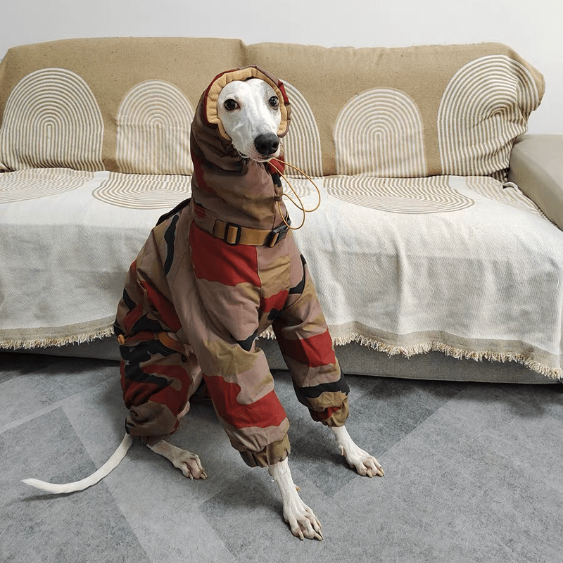 Camouflage Snowsuits Cotton Padded Dog Coat Italian Greyhound Clothes - PIKAPIKA