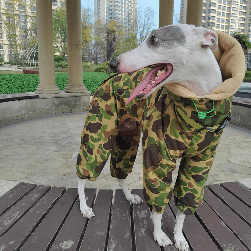Camouflage Snowsuits Cotton Padded Dog Coat Italian Greyhound Clothes Warm - PIKAPIKA
